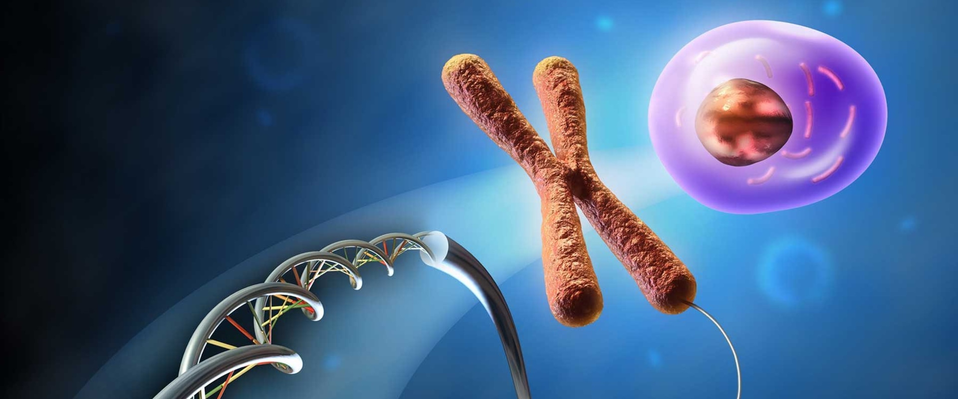 The Importance of Biology in Personalized and Effective Science Tutoring