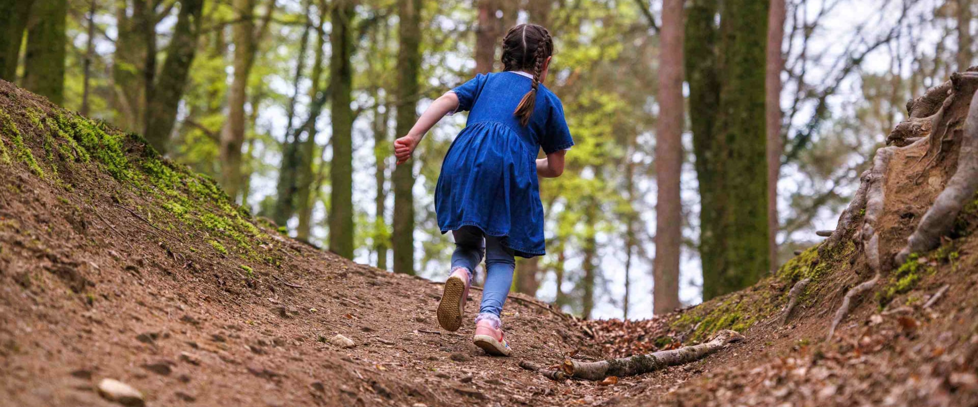 A Comprehensive Look at Environmental Science for UK Families