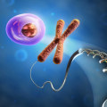 The Importance of Biology in Personalized and Effective Science Tutoring