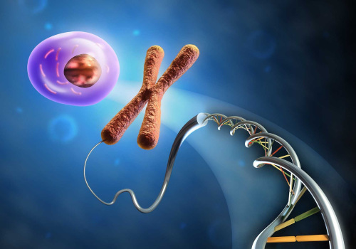 The Importance of Biology in Personalized and Effective Science Tutoring